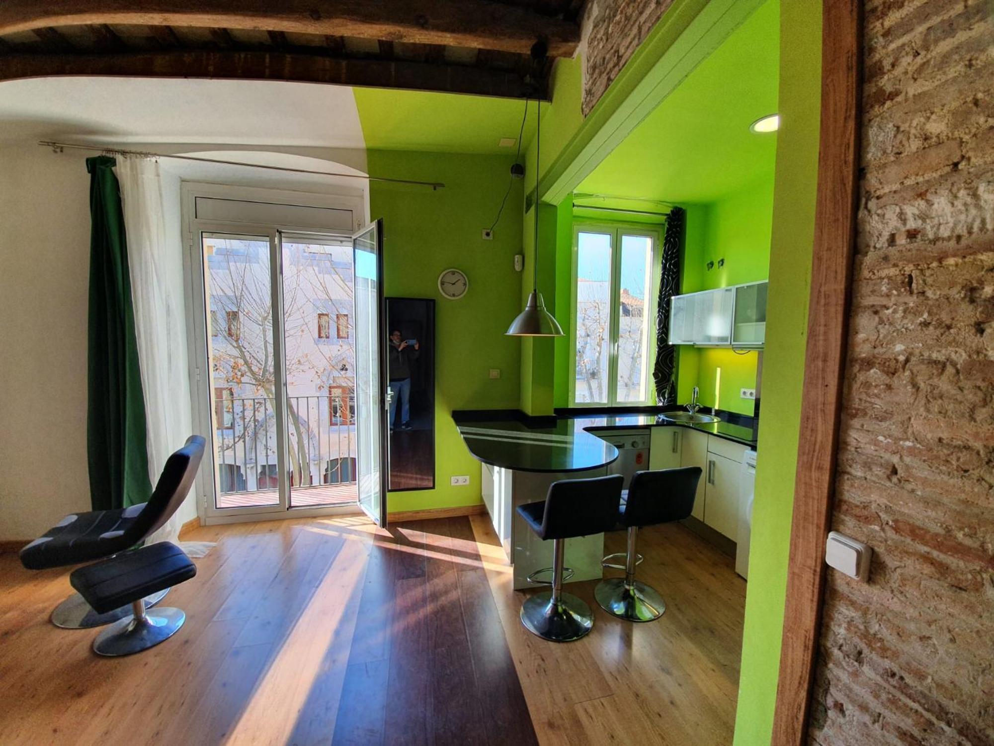 Llibertat Centro Apartment